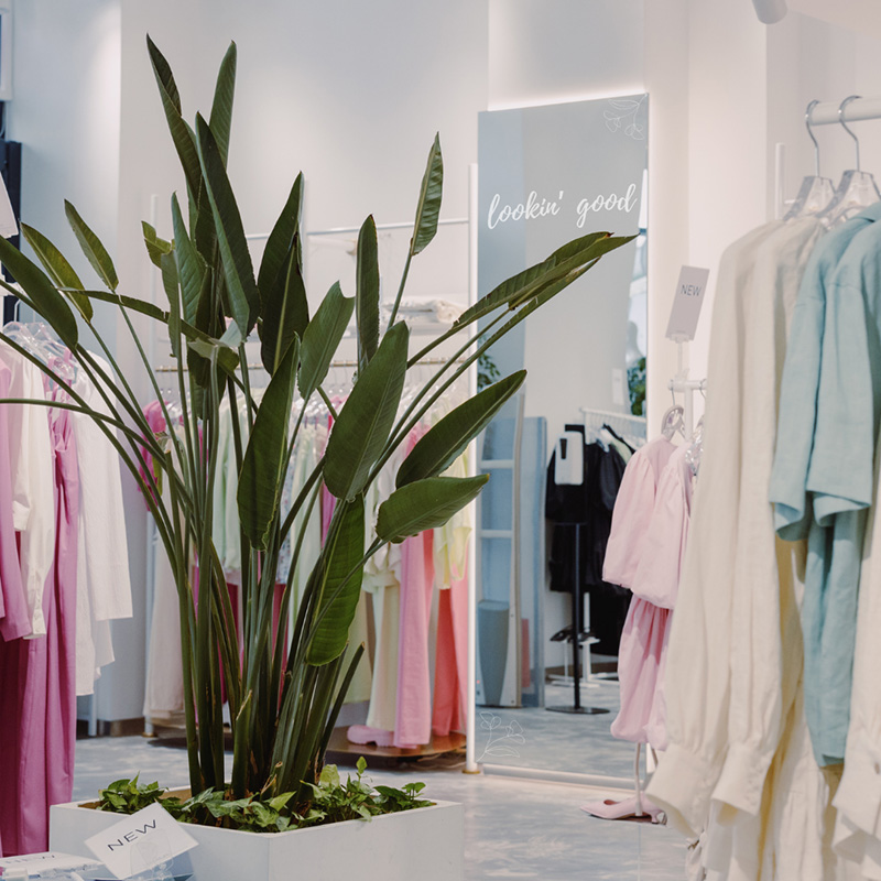 Fashion and Retail