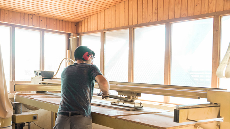 Windows and Skylights